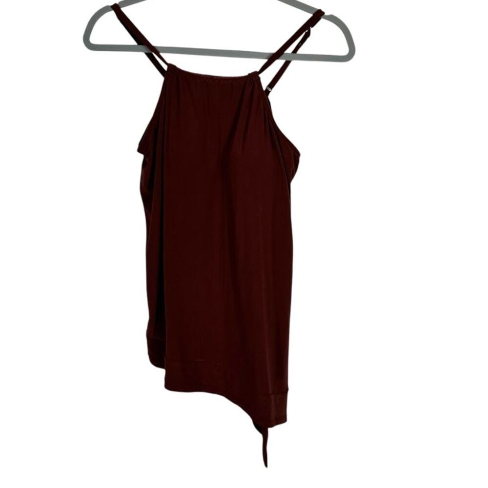 Dreamsuit Wine-Colored Tankini Size 10
